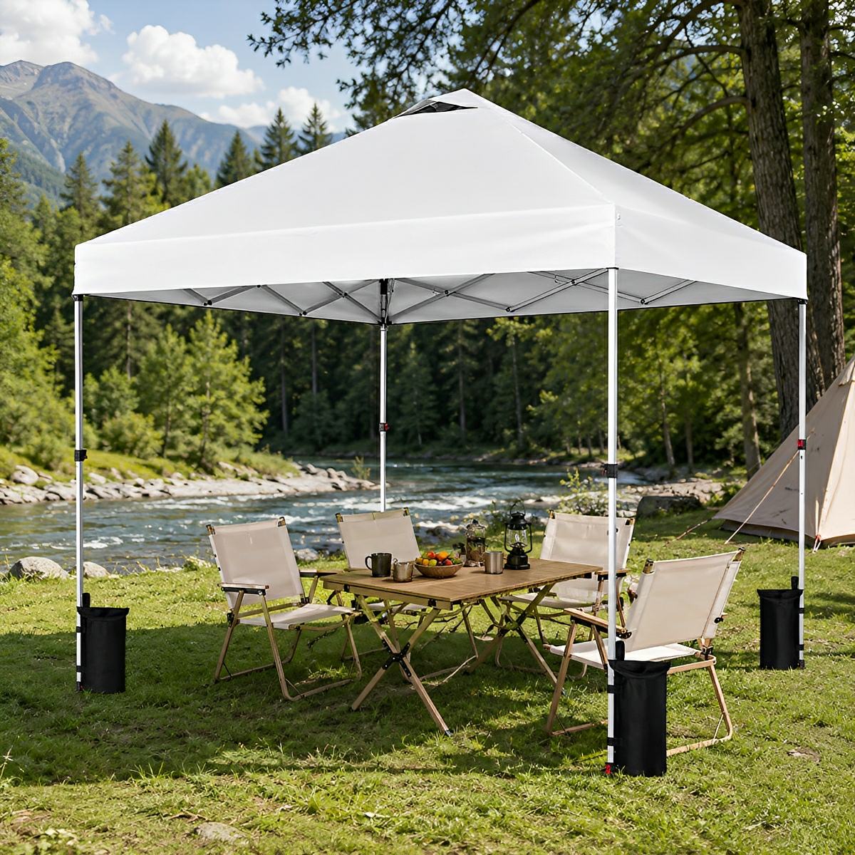 10x10 Pop Up Canopy Tent Portable Outdoor Shelter