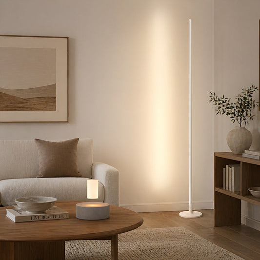 Modern Minimalist Ultra-thin LED Floor Lamp for Living Room Bedroom