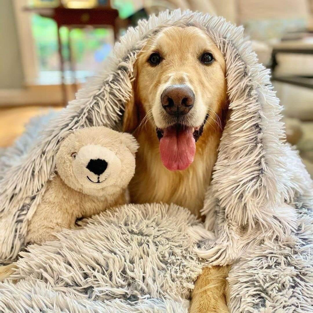 Cozy Anxiety-Relief Pet Blanket