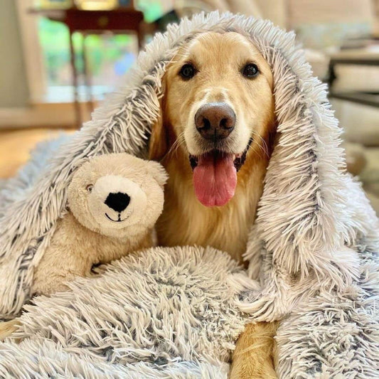 Cozy Anxiety-Relief Pet Blanket