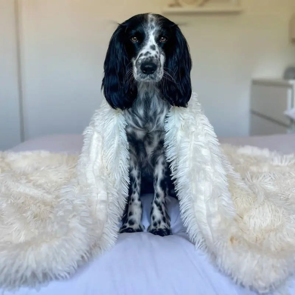 Cozy Anxiety-Relief Pet Blanket