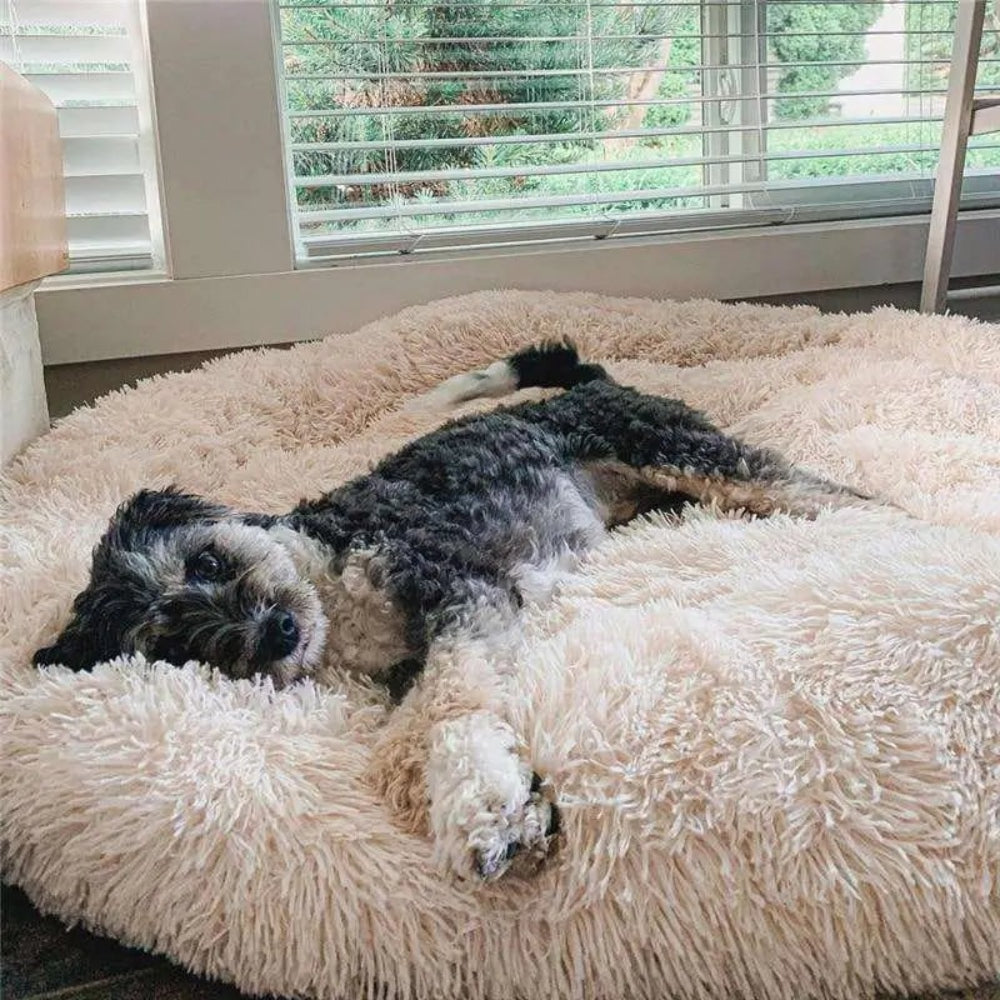 Calming Plush Anxiety-Relief Dog Bed