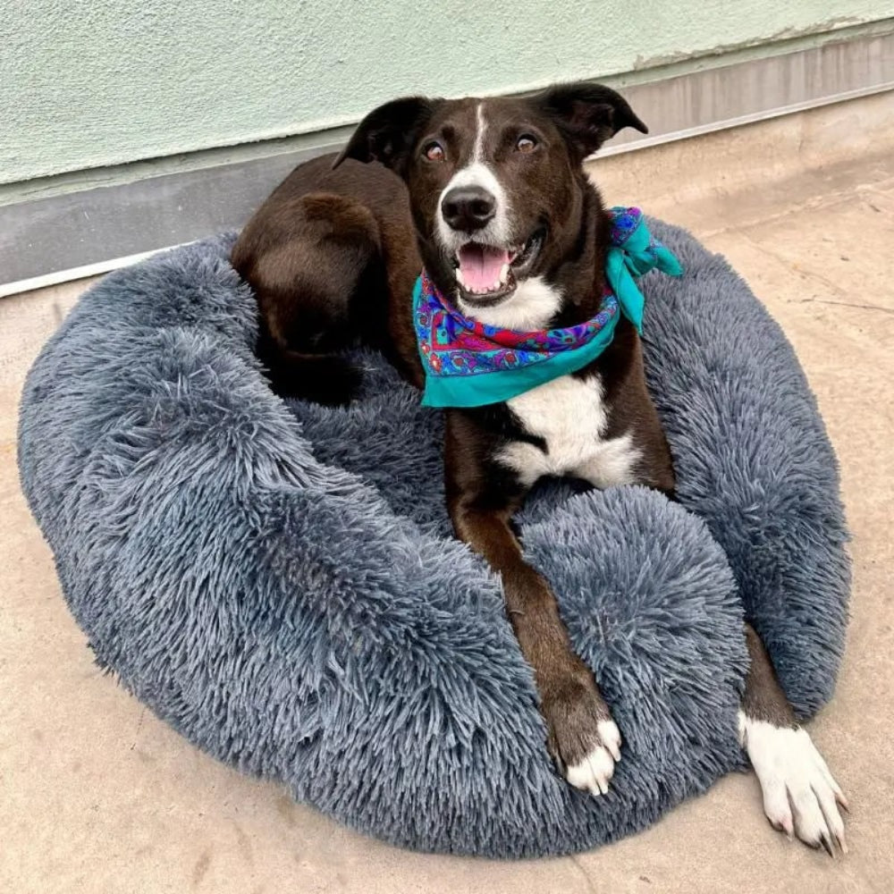 Calming Plush Anxiety-Relief Dog Bed