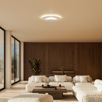 Modern Slim LED Flush Mount Ceiling Light