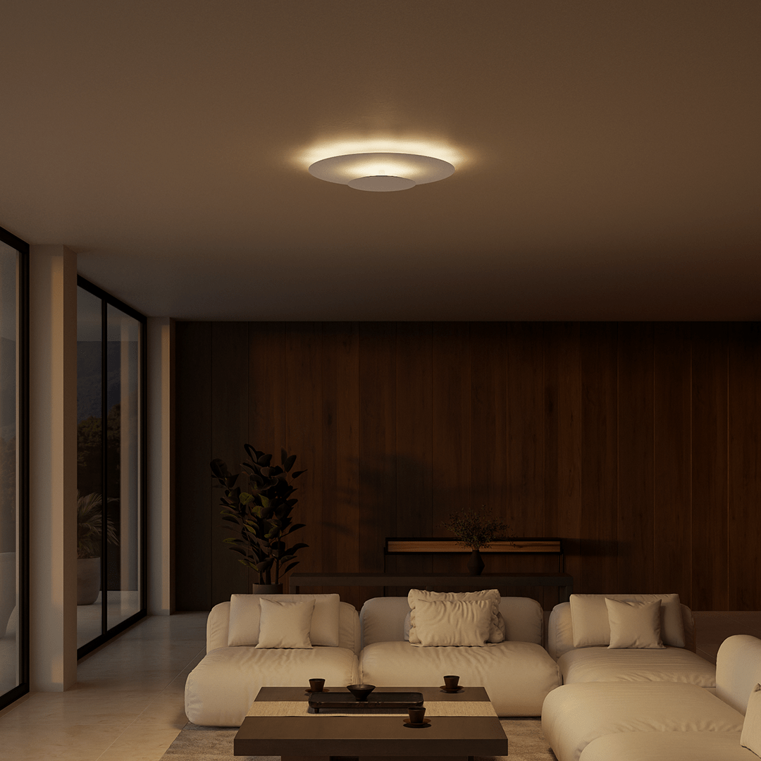 Modern Slim LED Flush Mount Ceiling Light