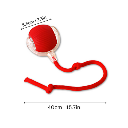 Durable Mental Stimulation Chew Ball