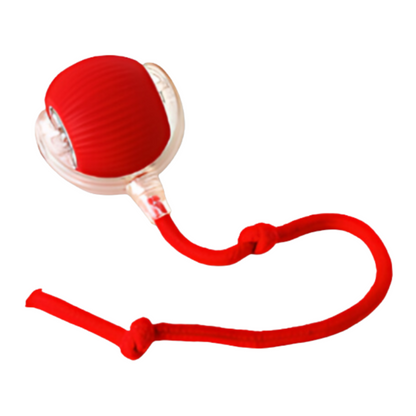 Durable Mental Stimulation Chew Ball