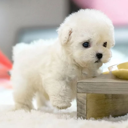 Lifelike Robotic Puppy Companion Toy