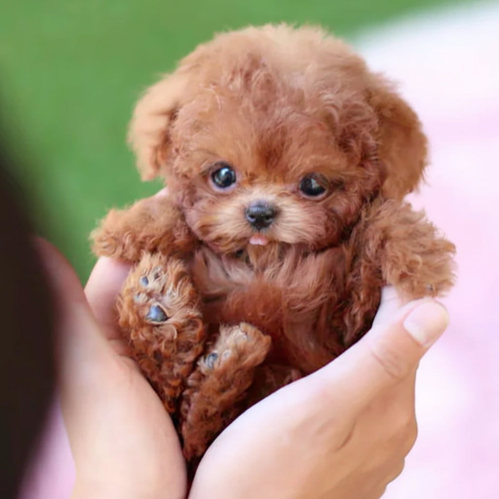 Lifelike Robotic Puppy Companion Toy