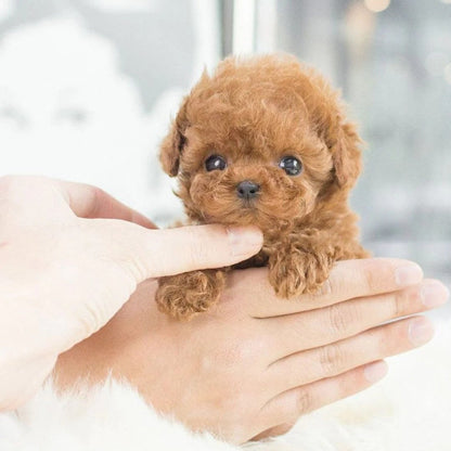 Lifelike Robotic Puppy Companion Toy