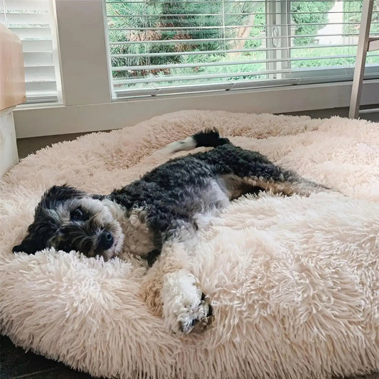 Large Plush Dog Bed