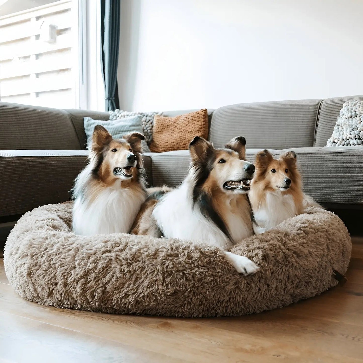 Large Plush Dog Bed