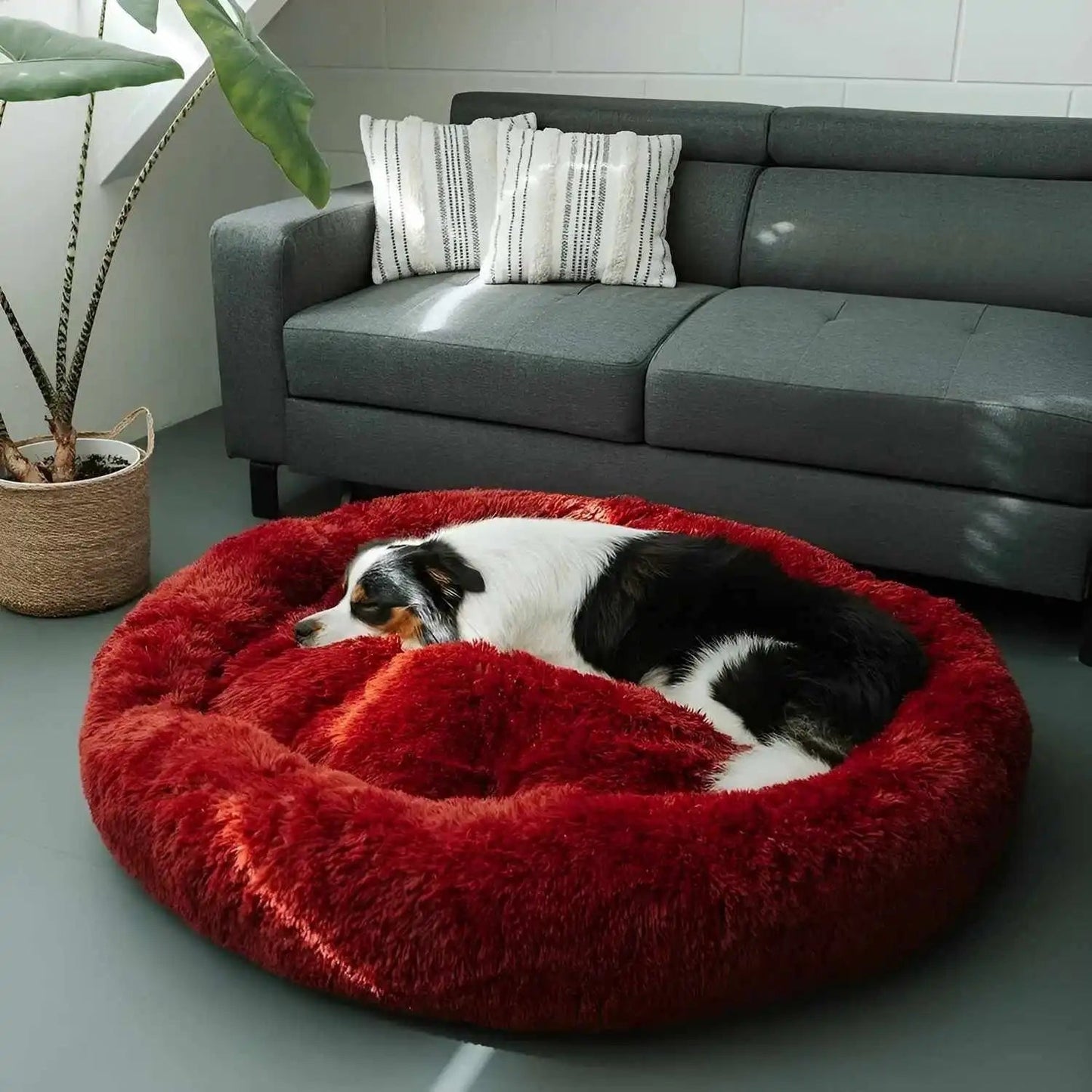 Large Plush Dog Bed