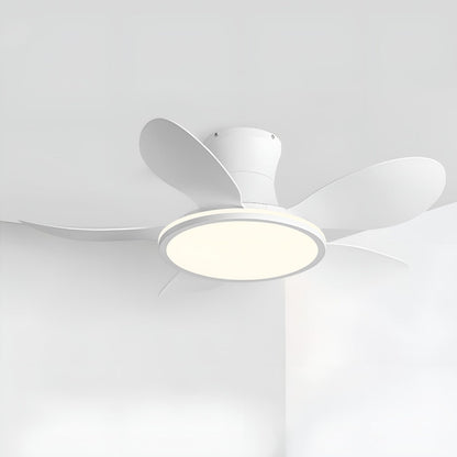 Modern Minimalist 15.7'' Lampshade DC Motor 6-Speed Reverse Ceiling Fan Light