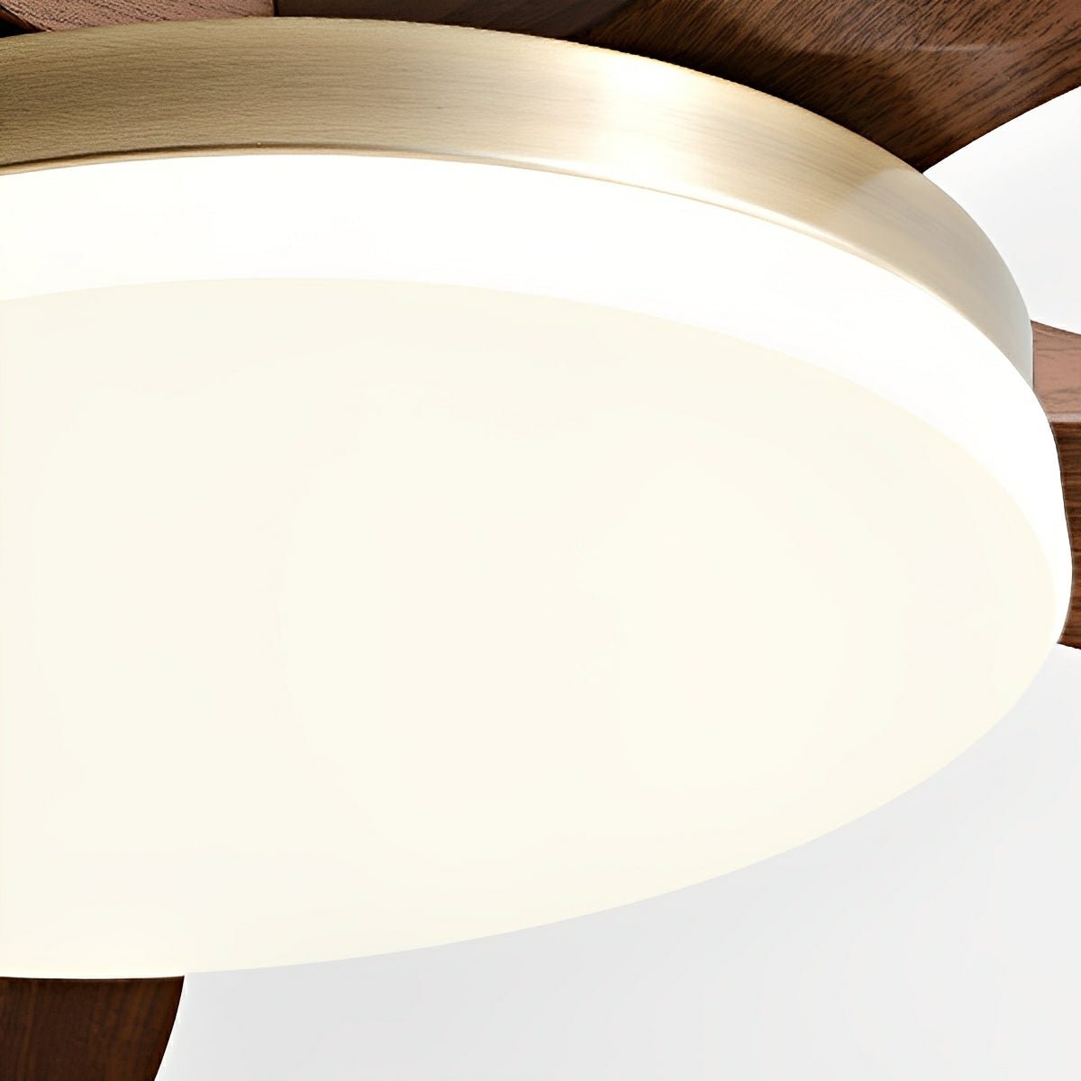 Modern Minimalist 3-Blades DC Motor Reverse Full-Spectrum LED Ceiling Fan Light