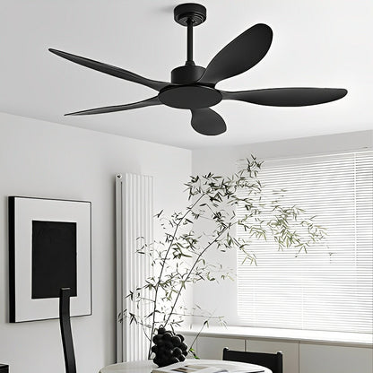 Modern Minimalist 5-Blades DC Motor Reverse Ceiling Fan