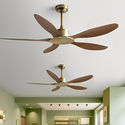 Modern Minimalist 5-Blades DC Motor Reverse Ceiling Fan