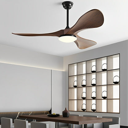 Modern Minimalist DC Motor Reverse Ceiling Fan Light
