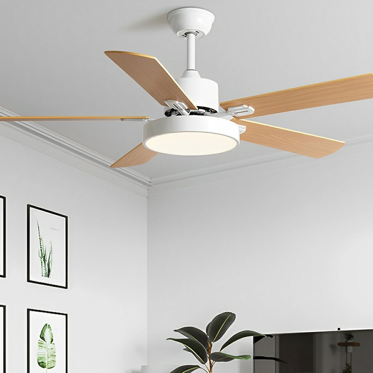 Modern Minimalist 6-Speed Reverse Frequency Conversion DC Motor Ceiling Fan Light