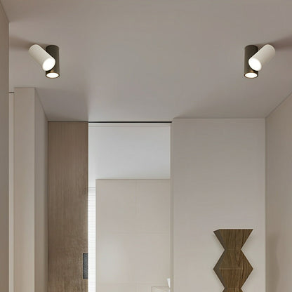 Modern Minimalist Geometric Cylinder LED Indoor Ceiling Light
