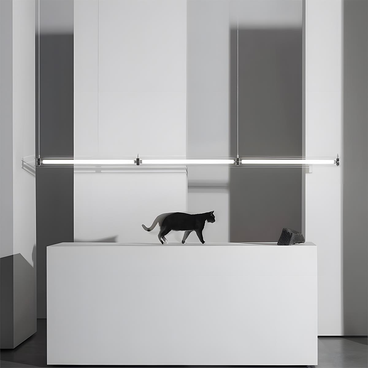 Modern Minimalist Glass LED Frame Light Strip Pendant Lights