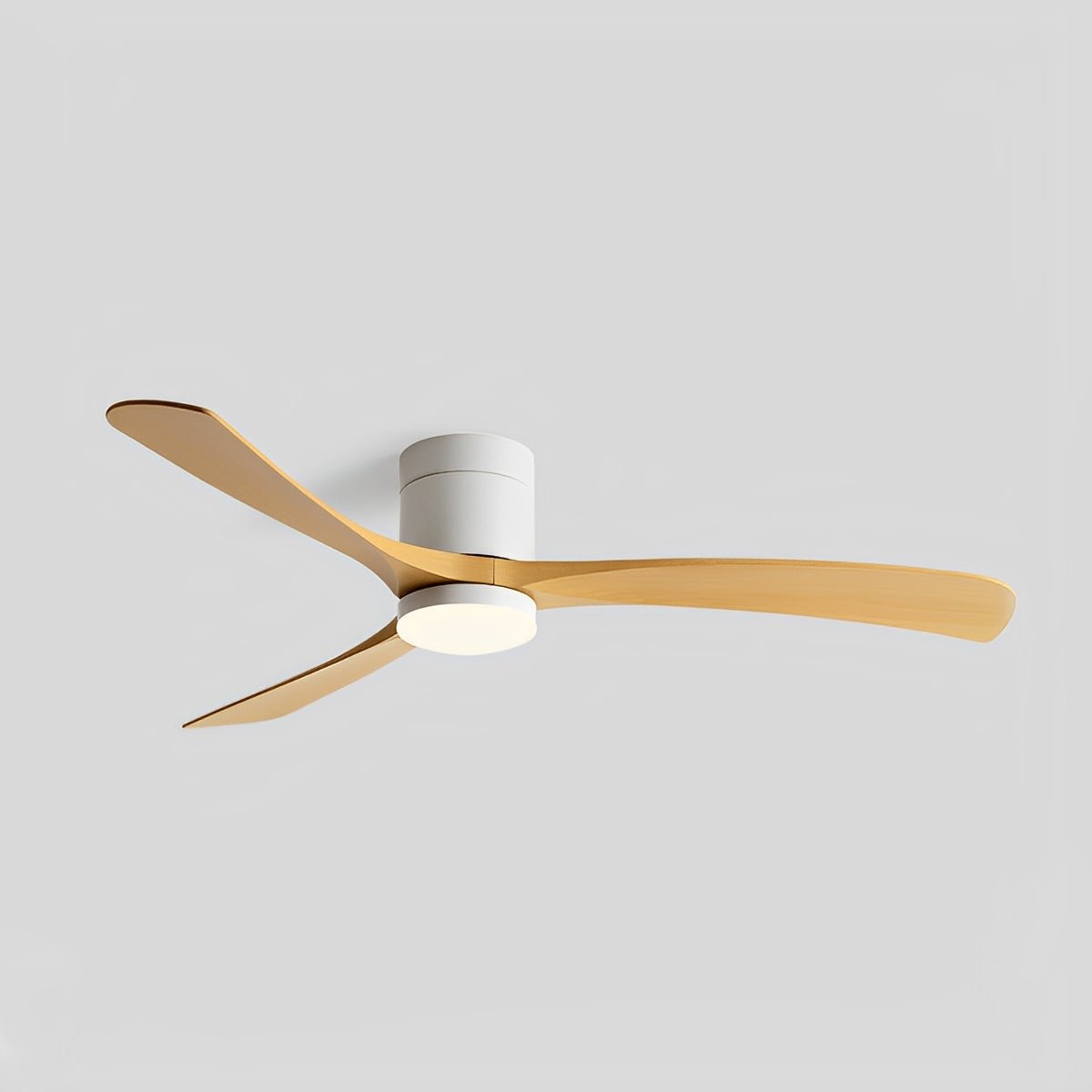 Modern 6-speed Reverse Frequency DC Motor Fan Light