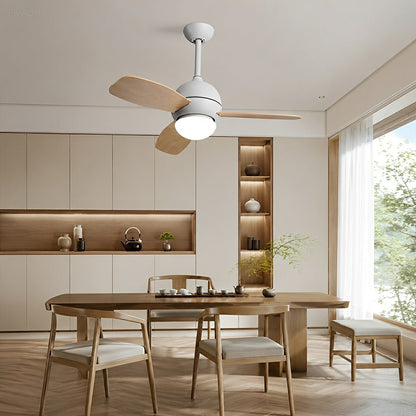 Nordic Minimalist LED Ceiling Paddle Fan DC Motor Fan Light