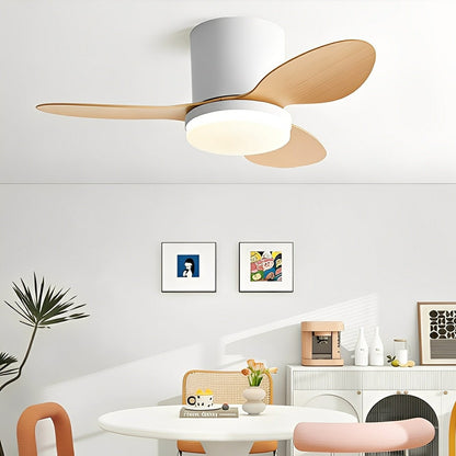 Nordic Modern Minimalist DC Motor Reverse LED Ceiling Fan Light