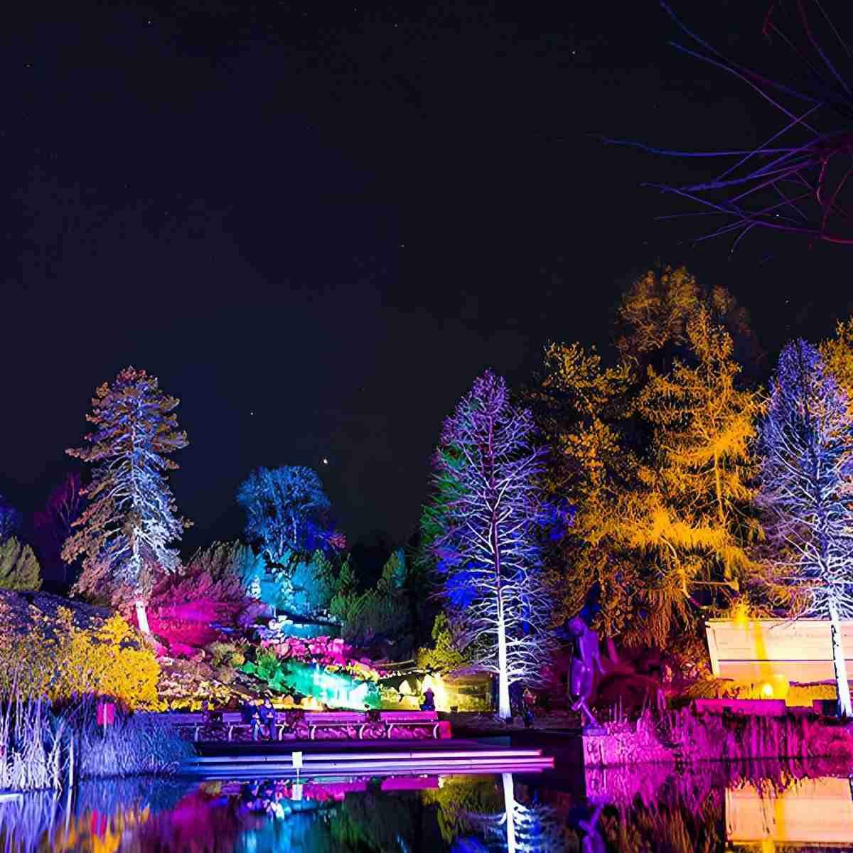 Outdoor Waterproof RGB LED Spot Lights Trees Lights