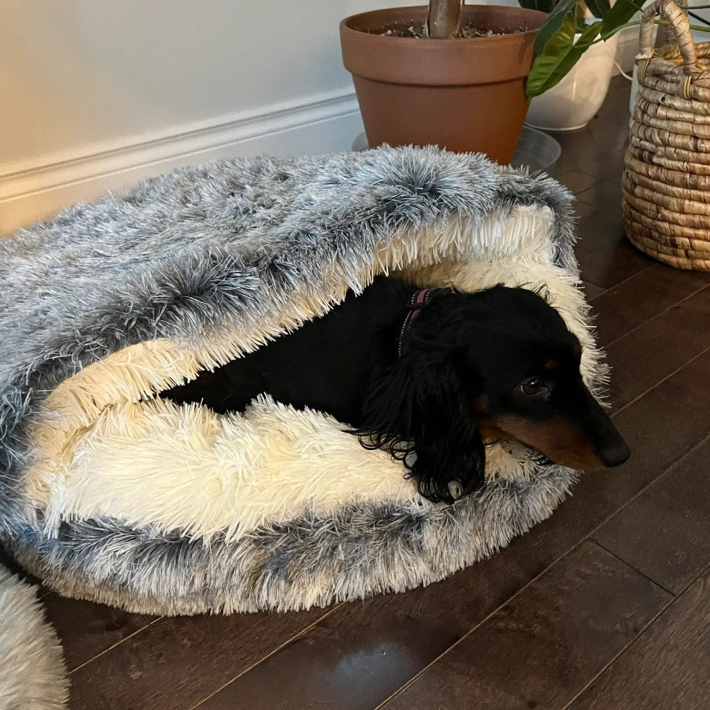 Cozy Cat Cave Pet Bed