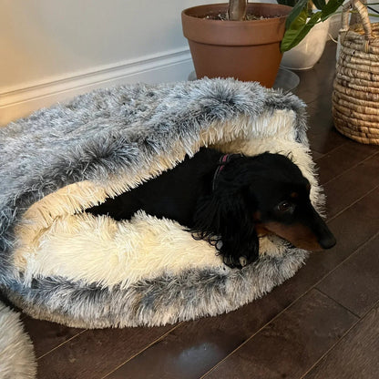 Cozy Cat Cave Pet Bed