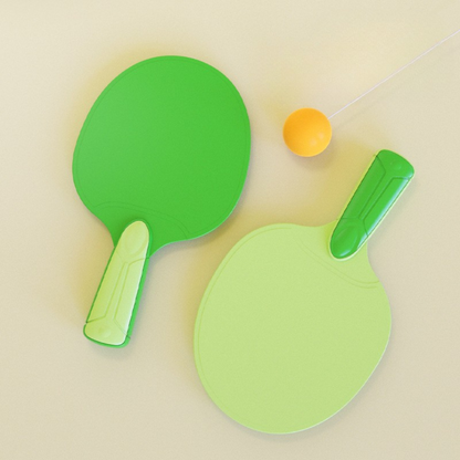 Indoor Ping Pong Game Set