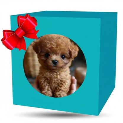 Interactive Robot Puppy Play Companion