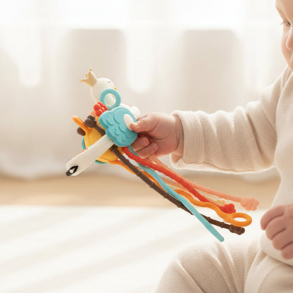 Sensory Teething Toy for Infants
