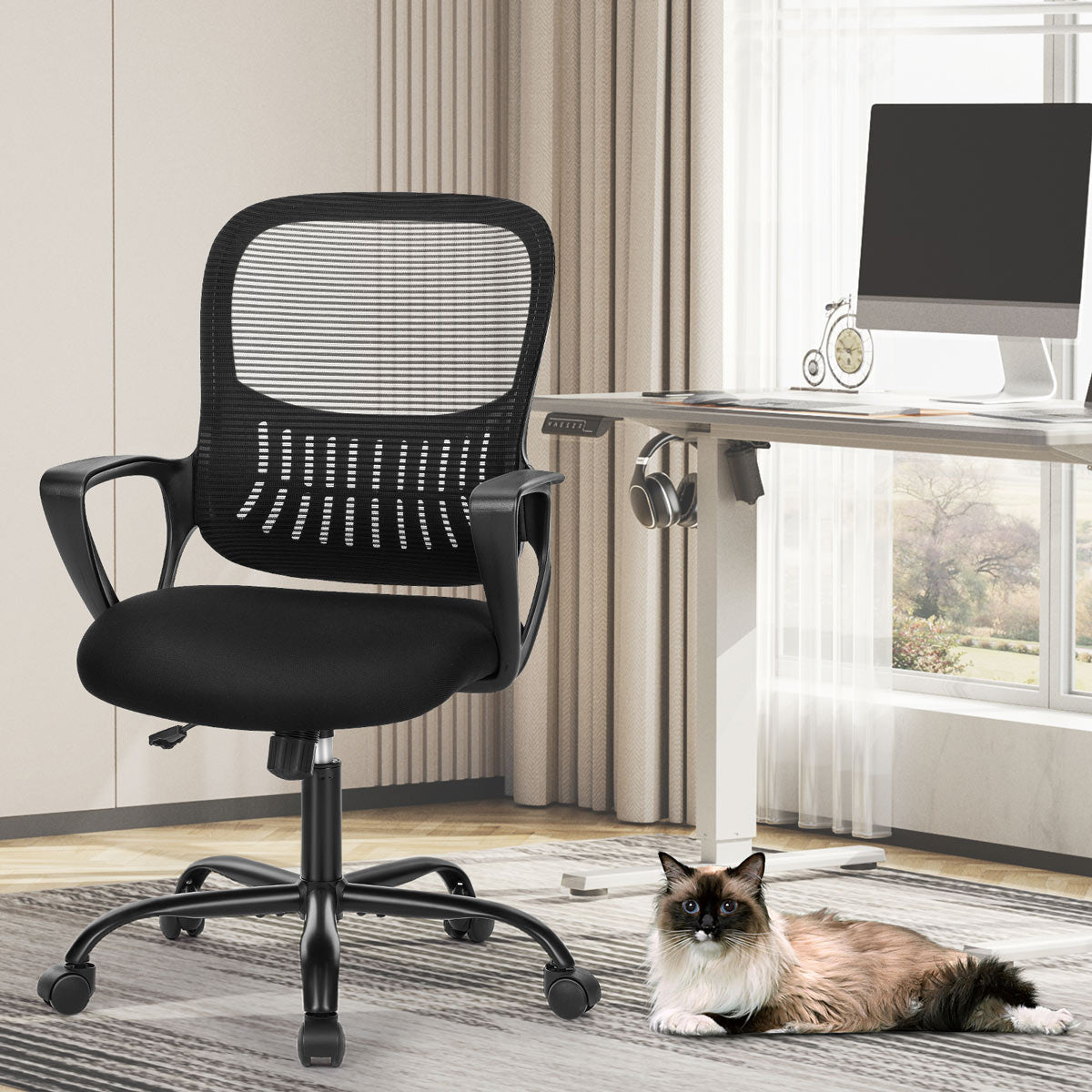 Tall 360 ° Rotatable Modern Ergonomic Office Chair with Armrest