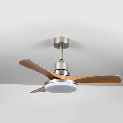Vintage DC Motor Reverse Variable Frequency Ceiling Fan Light