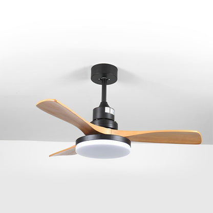 Vintage DC Motor Reverse Variable Frequency Ceiling Fan Light